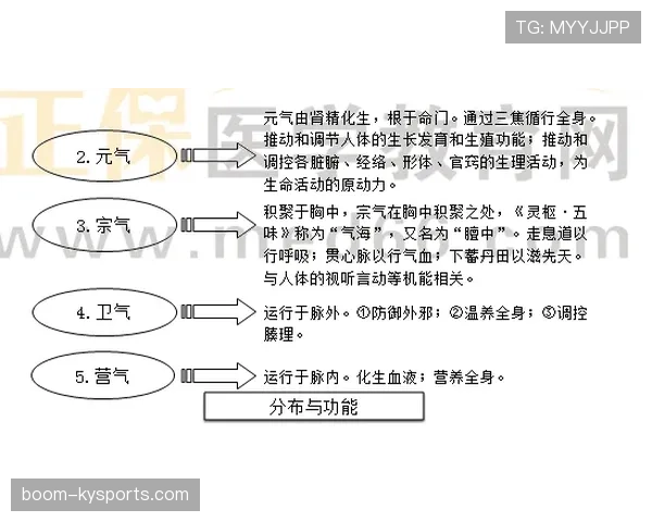 垂直起跳规则的基本要点与常见误区解析